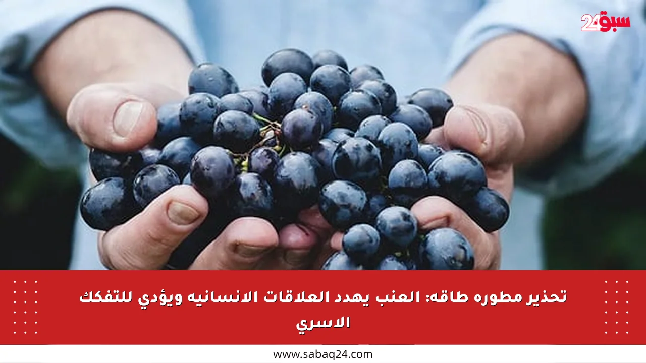 تحذير مطورة طاقة: العنب يهدد العلاقات الإنسانية ويؤدي للتفكك الأسري